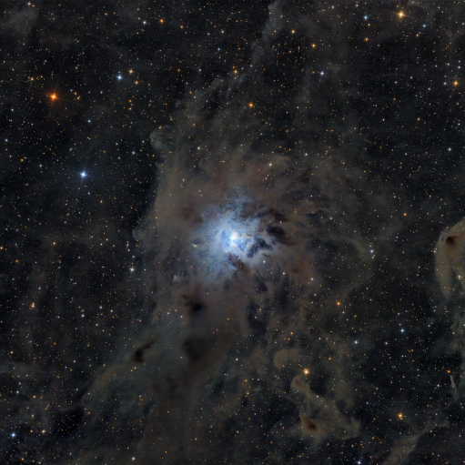 NGC 7023 – Iris Nebula