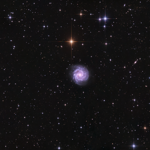 NGC3184