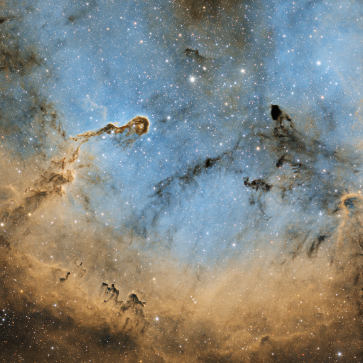 IC 1396 (2024)