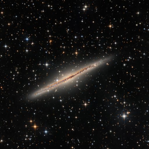 NGC 891